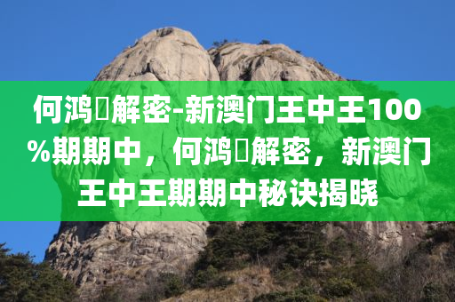 何鸿燊解密-新澳门王中王100%期期中，何鸿燊解密，新澳门王中王期期中秘诀揭晓