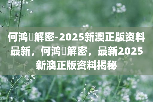 何鸿燊解密-2025新澳正版资料最新，何鸿燊解密，最新2025新澳正版资料揭秘