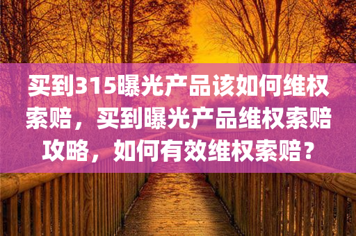 买到315曝光产品该如何维权索赔，买到曝光产品维权索赔攻略，如何有效维权索赔？，曝光产品维权攻略，如何有效索赔与维权针对315曝光产品