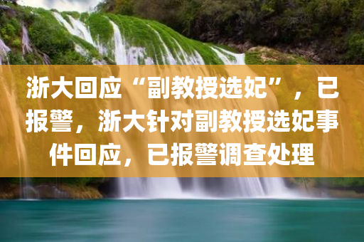 浙大回应“副教授选妃”，已报警，浙大针对副教授选妃事件回应，已报警调查处理，浙大针对副教授选妃事件回应，已报警调查处理