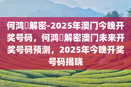 何鸿燊解密-2025年澳门今晚开奖号码，何鸿燊解密澳门未来开奖号码预测，2025年今晚开奖号码揭晓，何鸿燊解密，预测澳门未来开奖号码与2025年今晚开奖号码揭晓