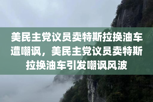 美民主党议员卖特斯拉换油车遭嘲讽，美民主党议员卖特斯拉换油车引发嘲讽风波，美民主党议员卖特斯拉换油车引发争议，嘲讽风波不断升温