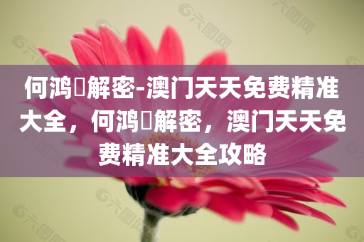 何鸿燊解密-澳门天天免费精准大全，何鸿燊解密，澳门天天免费精准大全攻略