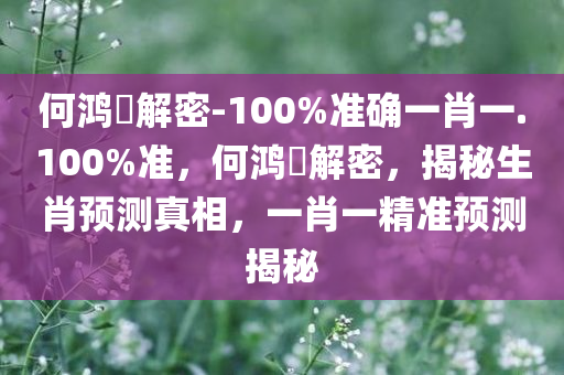 何鸿燊解密-100%准确一肖一.100%准，何鸿燊解密，揭秘生肖预测真相，一肖一精准预测揭秘，揭秘何鸿燊生肖预测真相，百分百准确的一肖一预测解密