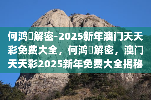 何鸿燊解密-2025新年澳门天天彩免费大全，何鸿燊解密，澳门天天彩2025新年免费大全揭秘，何鸿燊解密澳门天天彩，新年免费大全揭秘与预测