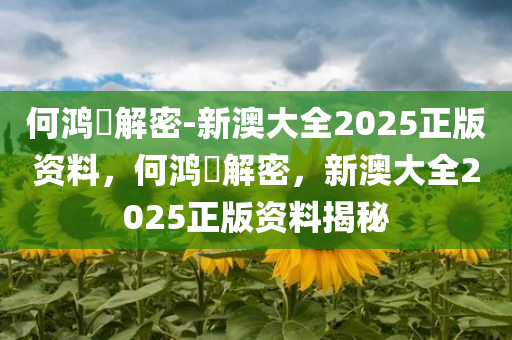 何鸿燊解密-新澳大全2025正版资料，何鸿燊解密，新澳大全2025正版资料揭秘，何鸿燊解密，新澳大全2025正版资料揭秘与解析