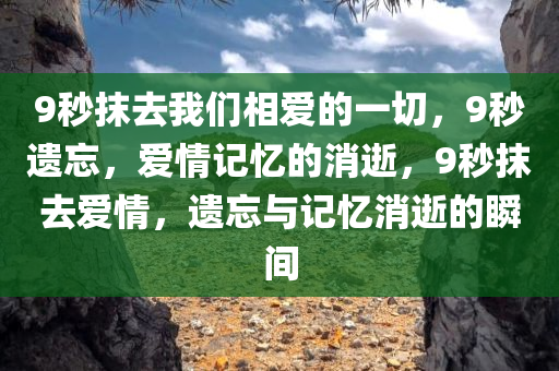 9秒抹去我们相爱的一切，9秒遗忘，爱情记忆的消逝，9秒抹去爱情，遗忘与记忆消逝的瞬间