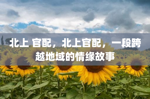 北上 官配，北上官配，一段跨越地域的情缘故事
