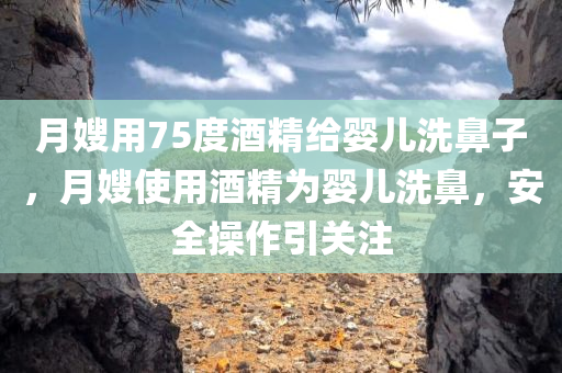 月嫂用75度酒精给婴儿洗鼻子，月嫂使用酒精为婴儿洗鼻，安全操作引关注，月嫂使用酒精为婴儿洗鼻，安全操作引热议