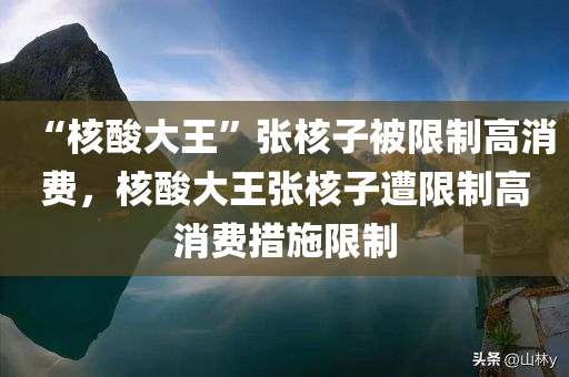 “核酸大王”张核子被限制高消费，核酸大王张核子遭限制高消费措施限制，核酸大王张核子遭高消费限制，背景揭秘与影响分析