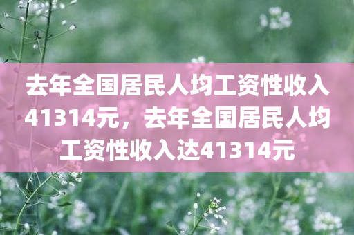 去年全国居民人均工资性收入41314元，去年全国居民人均工资性收入达41314元，全国居民人均工资性收入去年达41314元