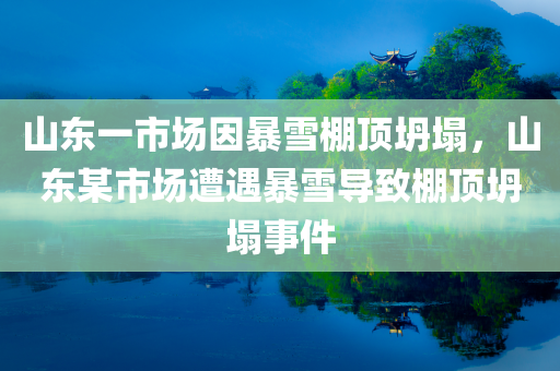 山东一市场因暴雪棚顶坍塌，山东某市场遭遇暴雪导致棚顶坍塌事件，山东某市场遭遇暴雪引发棚顶坍塌事故