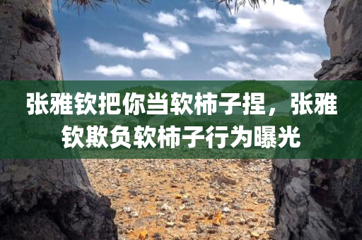 张雅钦把你当软柿子捏，张雅钦欺负软柿子行为曝光
