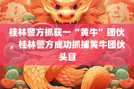 桂林警方抓获一“黄牛”团伙，桂林警方成功抓捕黄牛团伙头目，桂林警方成功抓捕黄牛团伙头目，打击非法票务市场行动取得重大进展
