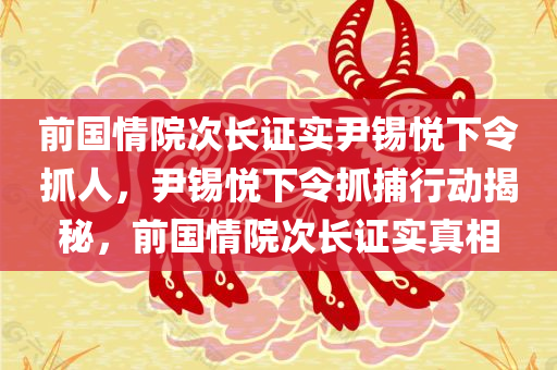 前国情院次长证实尹锡悦下令抓人，尹锡悦下令抓捕行动揭秘，前国情院次长证实真相，尹锡悦下令抓捕行动揭秘，前国情院次长证实真相