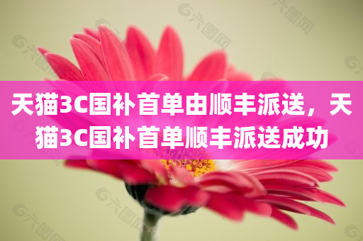 天猫3C国补首单由顺丰派送，天猫3C国补首单顺丰派送成功，天猫3C国补首单顺丰成功派送