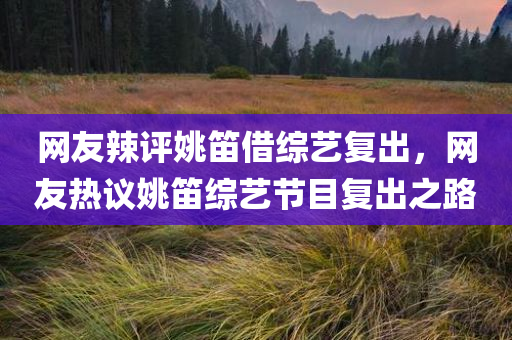 网友辣评姚笛借综艺复出，网友热议姚笛综艺节目复出之路，姚笛综艺节目复出引网友热议
