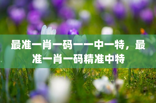 最准一肖一码一一中一特，最准一肖一码精准中特
