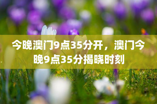 今晚澳门9点35分开，澳门今晚9点35分揭晓时刻，澳门今晚9点35分揭晓时刻，幸运之门开启！