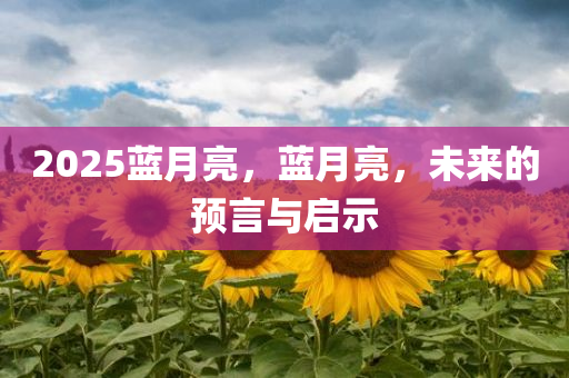 2025蓝月亮，蓝月亮，未来的预言与启示，未来启示，蓝月亮预言下的2025年展望