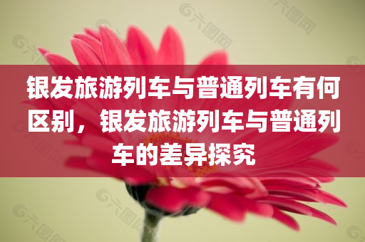银发旅游列车与普通列车有何区别，银发旅游列车与普通列车的差异探究，银发旅游列车与普通列车的差异探究，特色、服务与体验对比