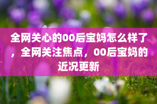 全网关心的00后宝妈怎么样了，全网关注焦点，00后宝妈的近况更新，全网关注焦点，00后宝妈的近况更新与成长历程