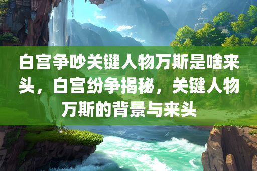 白宫争吵关键人物万斯是啥来头，白宫纷争揭秘，关键人物万斯的背景与来头