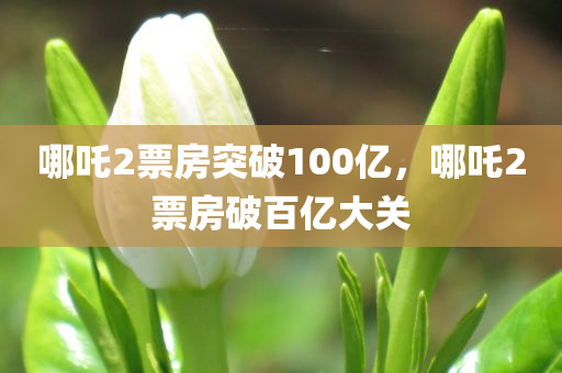 哪吒2票房突破100亿，哪吒2票房破百亿大关，哪吒2票房破百亿大关，突破百亿纪录！