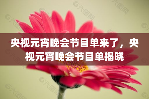 央视元宵晚会节目单来了，央视元宵晚会节目单揭晓，央视元宵晚会节目单揭晓，精彩节目一览