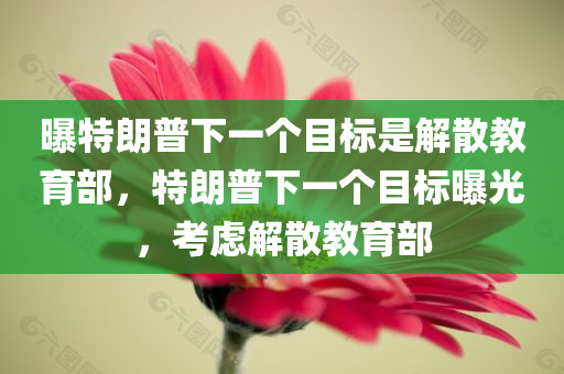 曝特朗普下一个目标是解散教育部，特朗普下一个目标曝光，考虑解散教育部，特朗普下一个目标曝光，考虑解散教育部