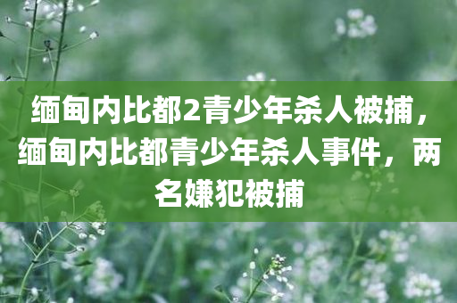 缅甸内比都2青少年杀人被捕，缅甸内比都青少年杀人事件，两名嫌犯被捕，缅甸内比都青少年杀人事件，两名嫌犯被捕