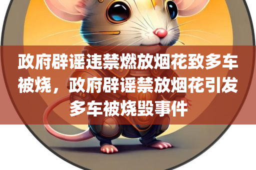 政府辟谣违禁燃放烟花致多车被烧，政府辟谣禁放烟花引发多车被烧毁事件