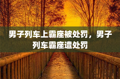 男子列车上霸座被处罚，男子列车霸座遭处罚，男子列车霸座行为被严厉处罚