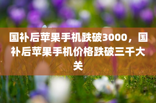 国补后苹果手机跌破3000，国补后苹果手机价格跌破三千大关，国补后苹果手机价格跌破三千大关，市场反应热烈