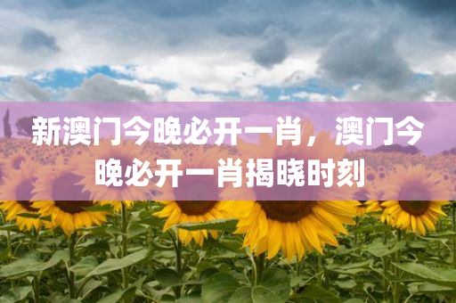 新澳门今晚必开一肖，澳门今晚必开一肖揭晓时刻