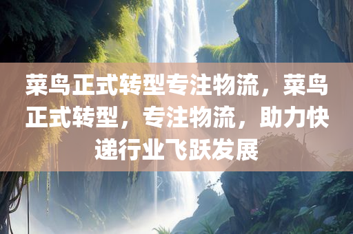 菜鸟正式转型专注物流，菜鸟正式转型，专注物流，助力快递行业飞跃发展，菜鸟转型专注物流，助力快递行业实现飞跃发展