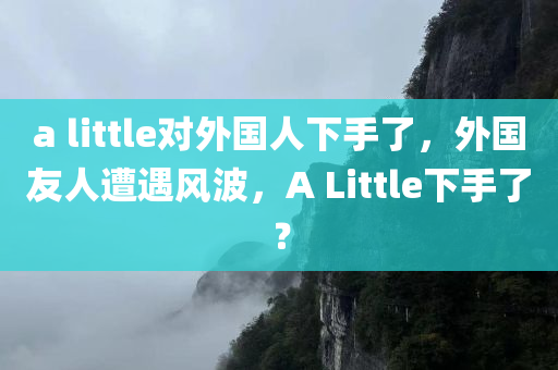 a little对外国人下手了，外国友人遭遇风波，A Little下手了？，外国友人遭遇风波，A Little出手引争议