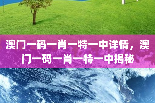 澳门一码一肖一特一中详情，澳门一码一肖一特一中揭秘