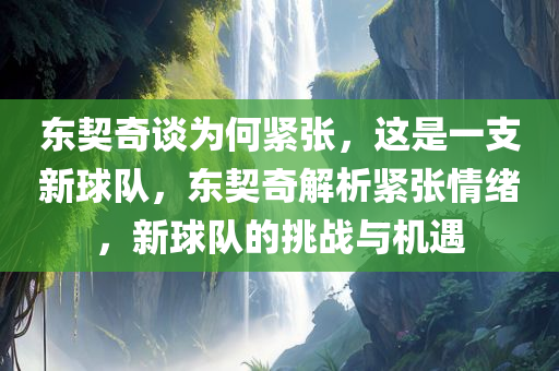 东契奇谈为何紧张，这是一支新球队，东契奇解析紧张情绪，新球队的挑战与机遇