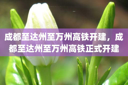 成都至达州至万州高铁开建，成都至达州至万州高铁正式开建