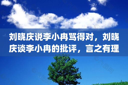 刘晓庆说李小冉骂得对，刘晓庆谈李小冉的批评，言之有理