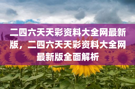 二四六天天彩资料大全网最新版，二四六天天彩资料大全网最新版全面解析