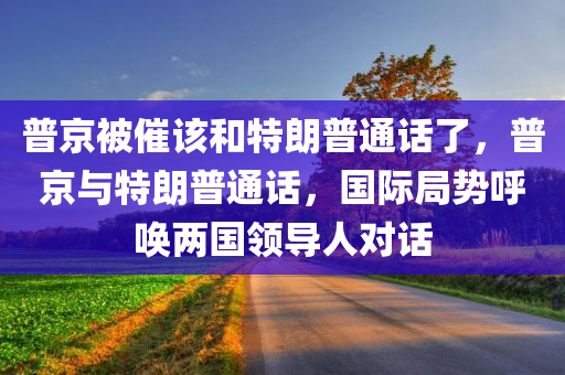 普京被催该和特朗普通话了，普京与特朗普通话，国际局势呼唤两国领导人对话，普京与特朗普通话，国际局势下的领导人对话呼唤