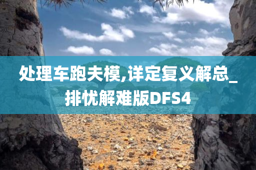 处理车跑夫模,详定复义解总_排忧解难版DFS4