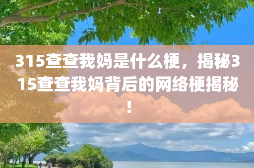 315查查我妈是什么梗，揭秘315查查我妈背后的网络梗揭秘！，揭秘315查查我妈背后的网络梗起源与含义