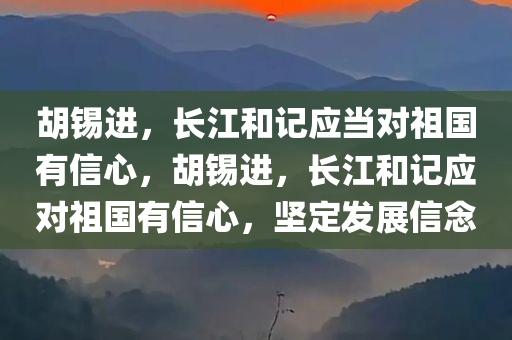 胡锡进，长江和记应当对祖国有信心，胡锡进，长江和记应对祖国有信心，坚定发展信念，胡锡坚呼吁长江和记坚定发展信念，对祖国有信心