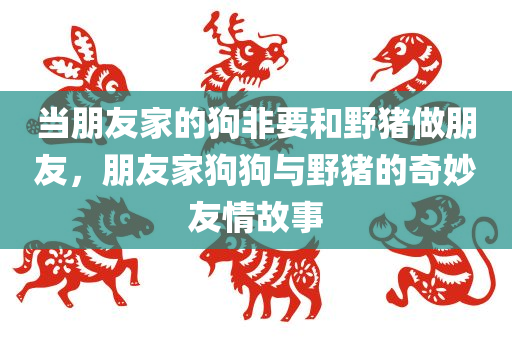 当朋友家的狗非要和野猪做朋友，朋友家狗狗与野猪的奇妙友情故事，朋友家狗狗与野猪的跨物种友情传奇