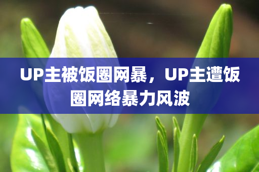 UP主被饭圈网暴，UP主遭饭圈网络暴力风波，UP主遭遇饭圈网络暴力风波的冲击