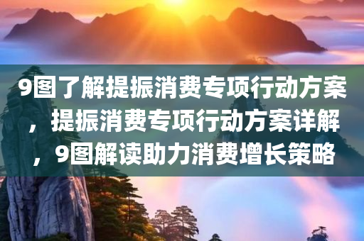 9图了解提振消费专项行动方案，提振消费专项行动方案详解，9图解读助力消费增长策略