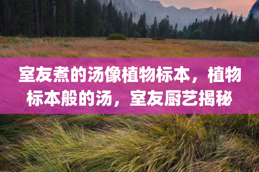 室友煮的汤像植物标本，植物标本般的汤，室友厨艺揭秘，植物标本般的汤，室友厨艺揭秘